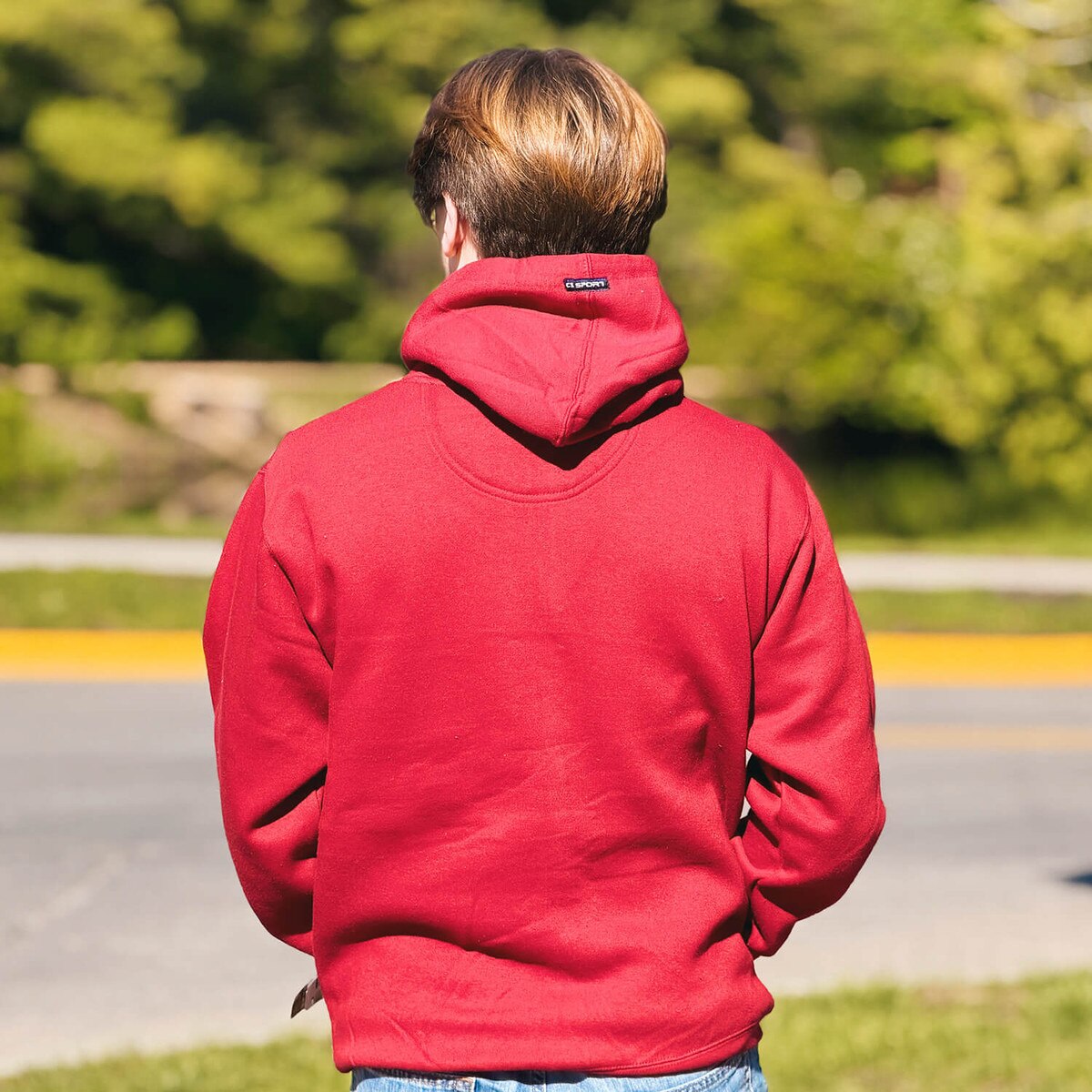 CI Sport Pennant Cy Cardinal HW Hooded Sweatshirt back